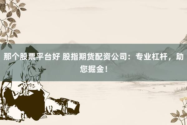 那个股票平台好 股指期货配资公司：专业杠杆，助您掘金！