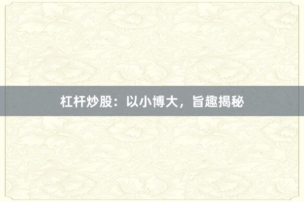 杠杆炒股：以小博大，旨趣揭秘