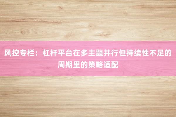风控专栏：杠杆平台在多主题并行但持续性不足的周期里的策略适配