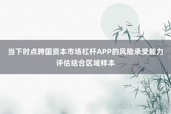 当下时点跨国资本市场杠杆APP的风险承受能力评估结合区域样本